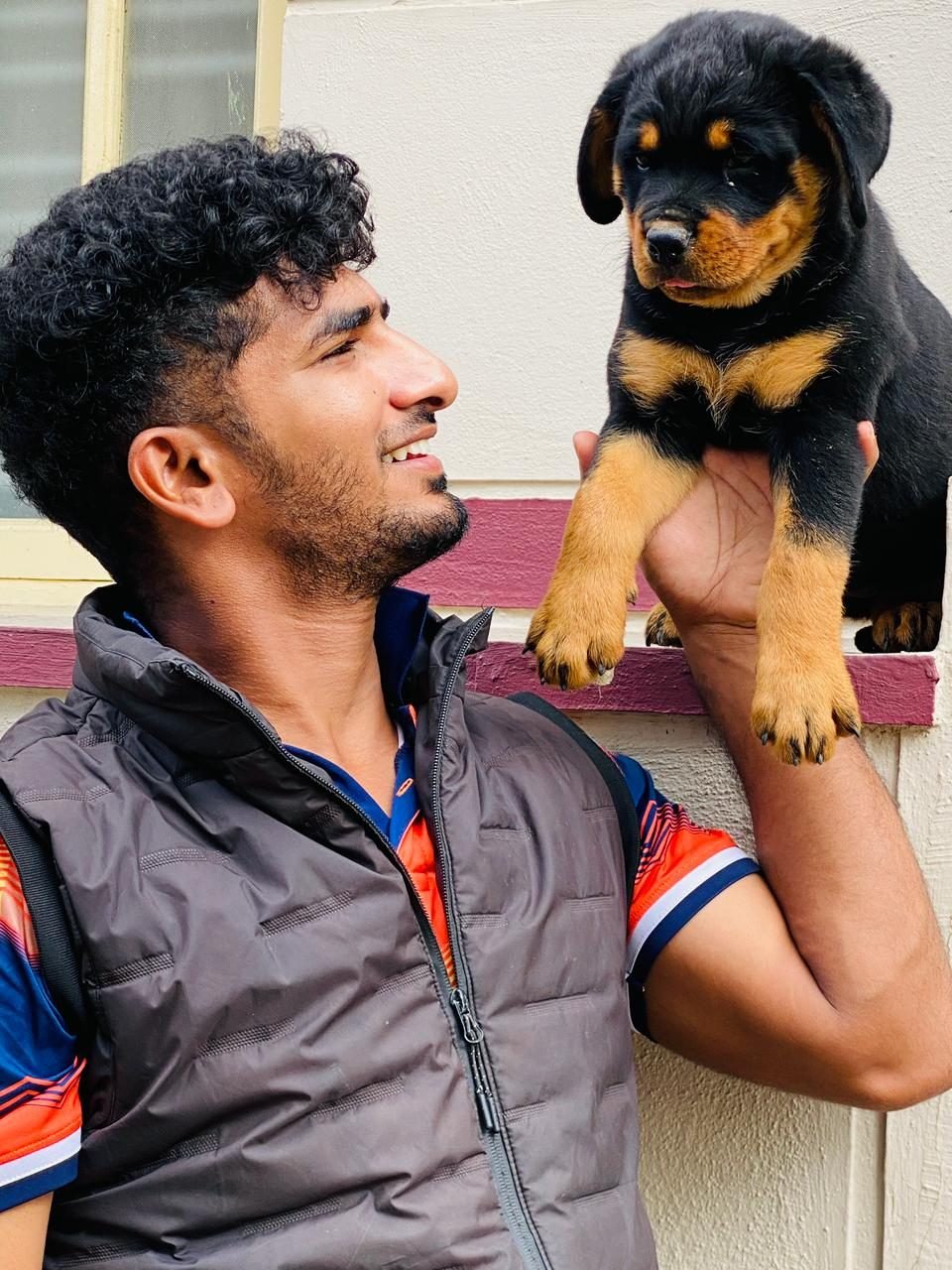 Rottweiler puppy with its handler